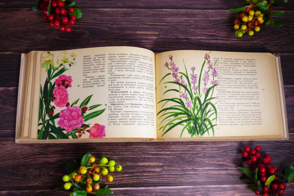 Комнатные растения, справочник, домашние растения