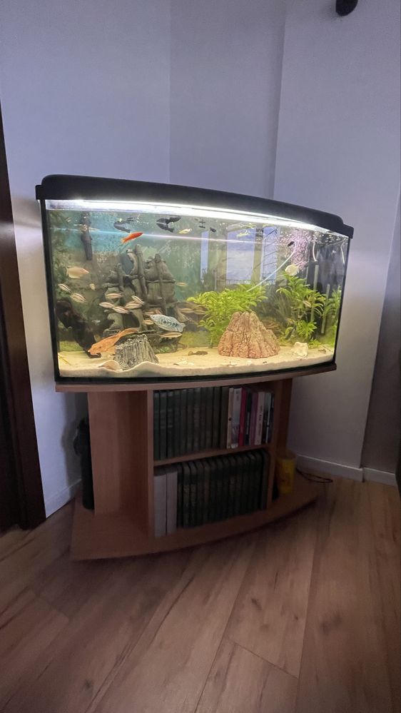 Akwarium 100 x50x30