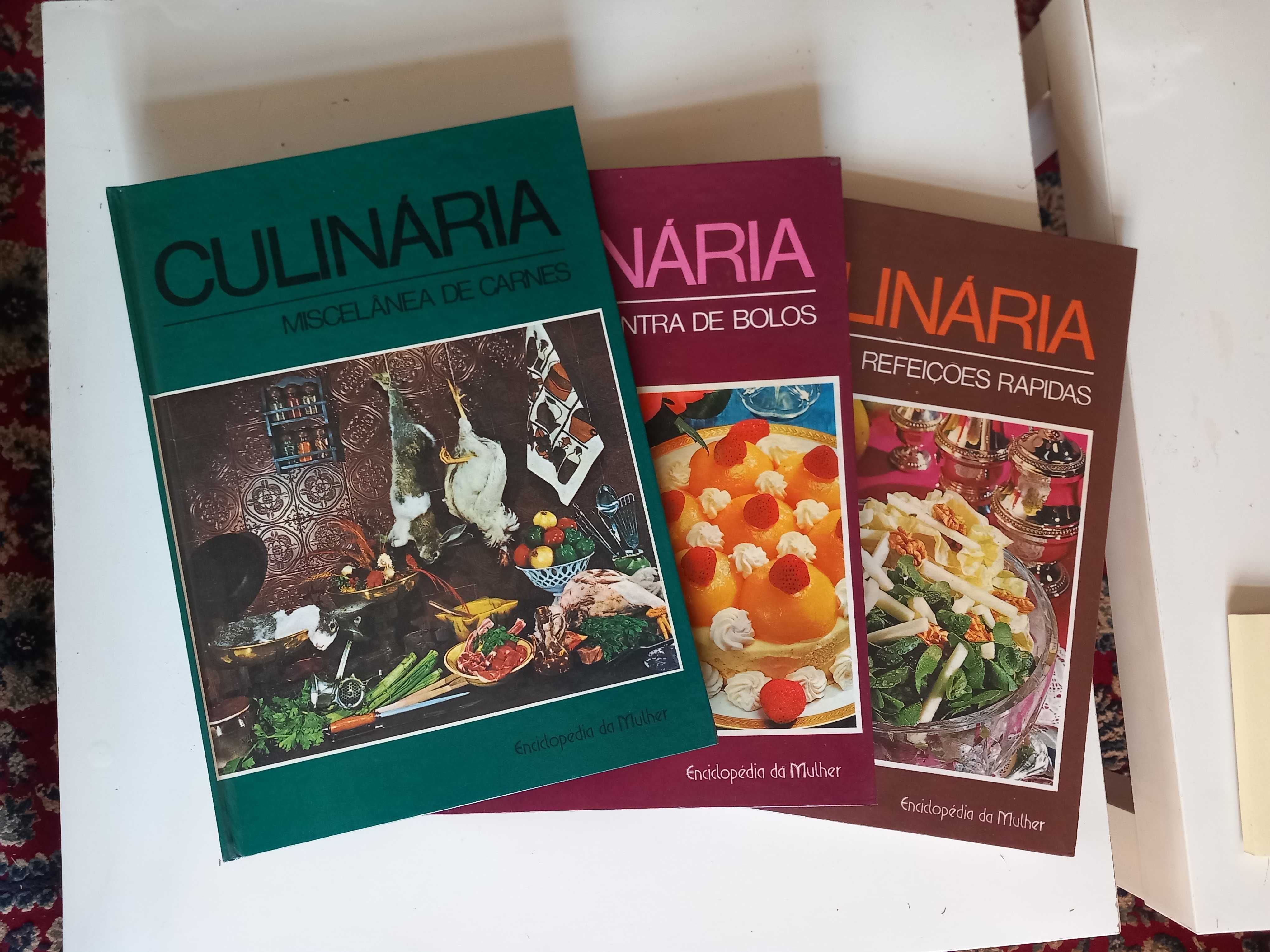 Livros  CULINÁRIA - Enciclopédia da Mulher