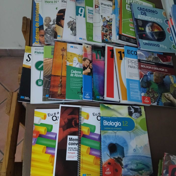 Cadernos de atividades/Livros de fichas