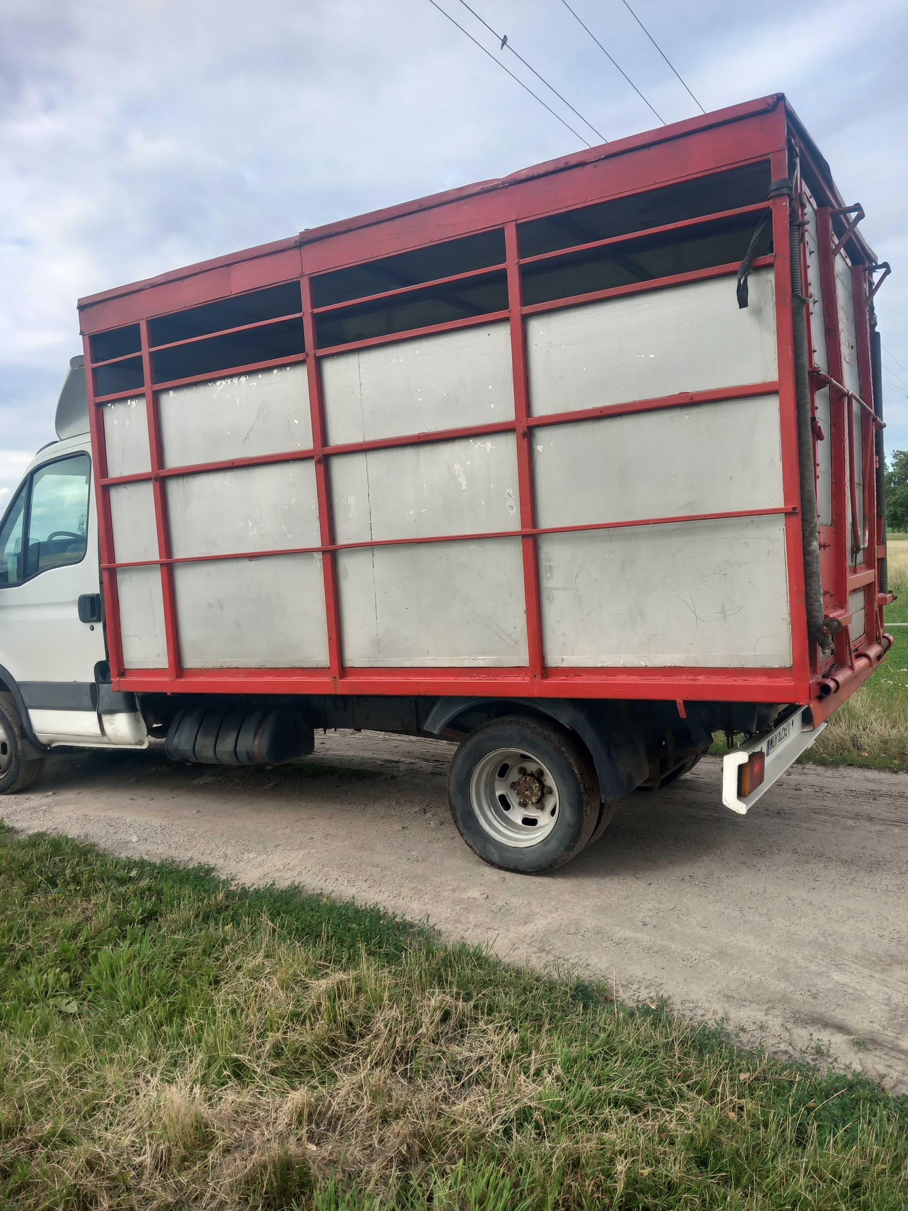 Iveco Daily do przewozu zwierzat