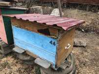 Вулики Дадан 2 Українські 2 шт