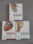 Atlas anatomii człowieka 3 część - Sobotta