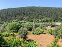 Balça - a 200 metros Rio Zêzere - Caravanismo e exploração agrícola!!