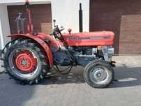 Massey Ferguson 145v sadowniczy