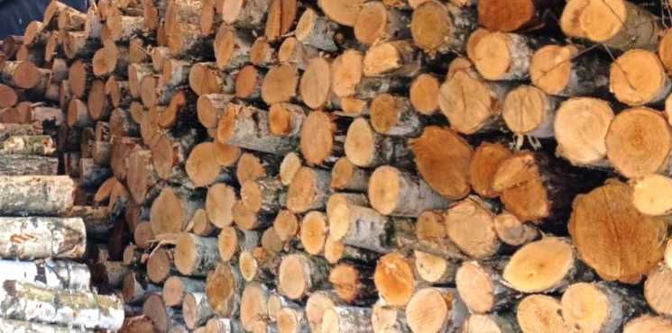 Доставка дров оптом по городу и области метровка дуб граб