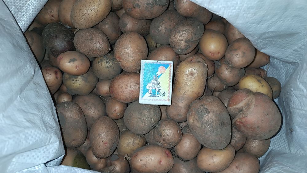 Продам дрібну картоплю