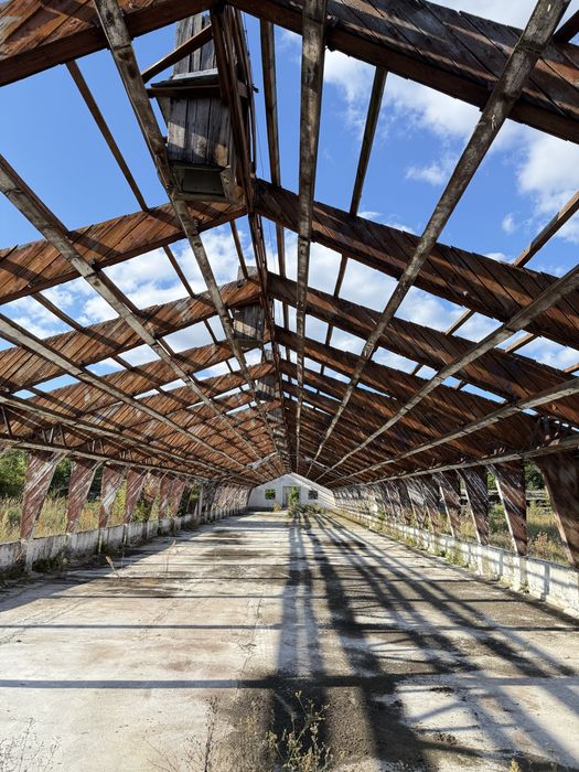 Konstrukcja Hali drewniana