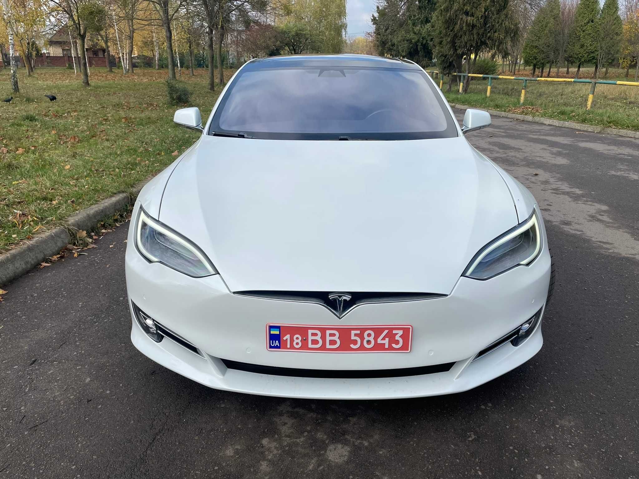 Tesla Model S Dual Motor 75D 2018 року випуску Пробіг 53000 км