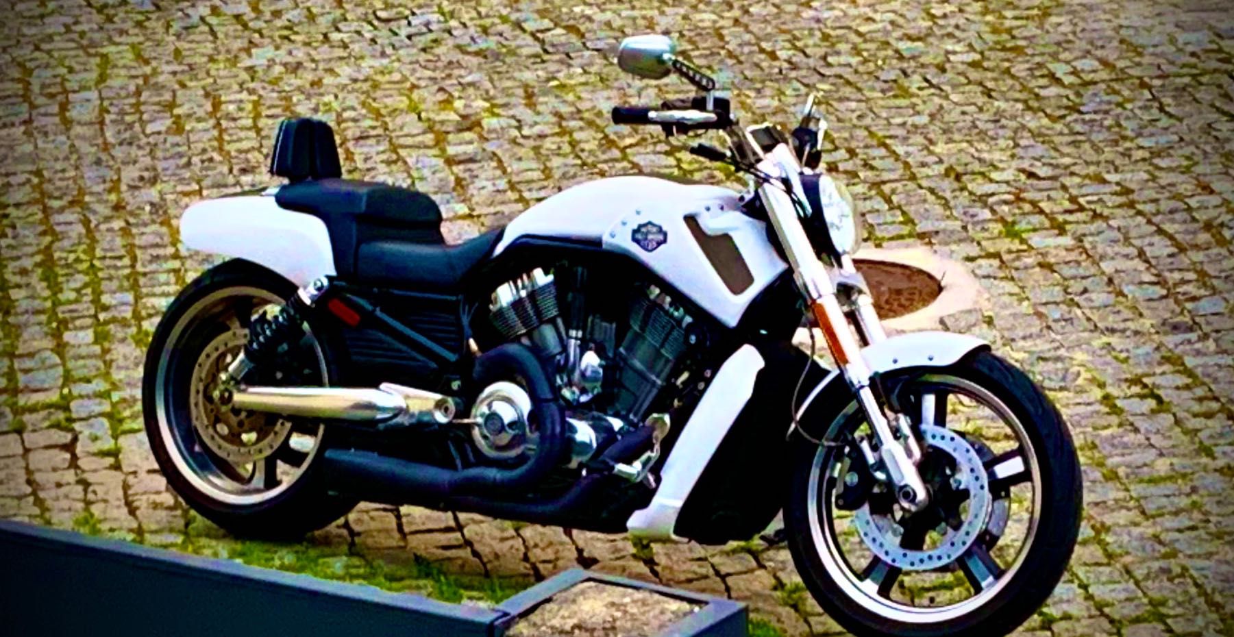 Harley Davidson V Rod MUSCLE
