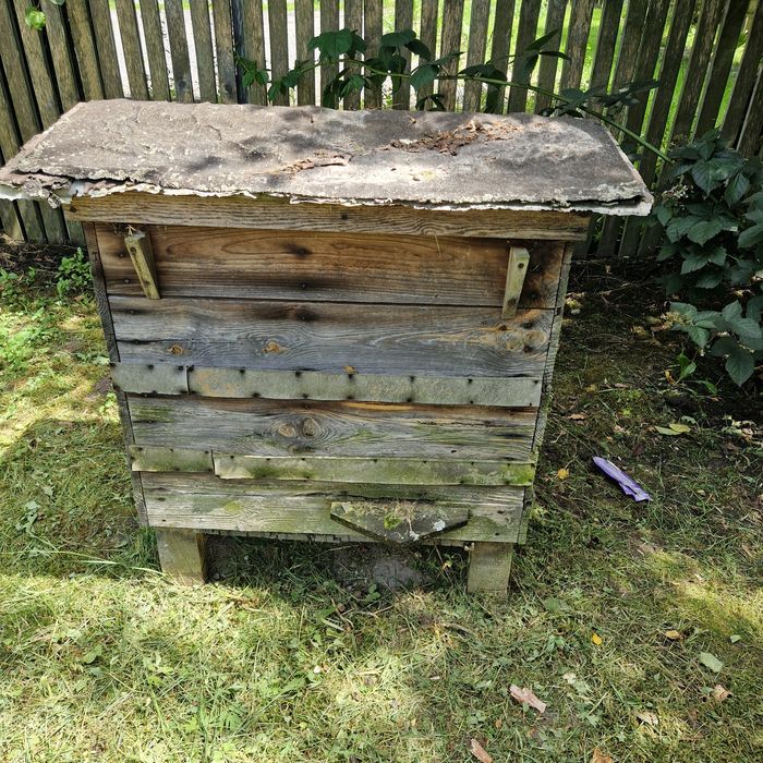 Ule warszawskie poszerzane solidne