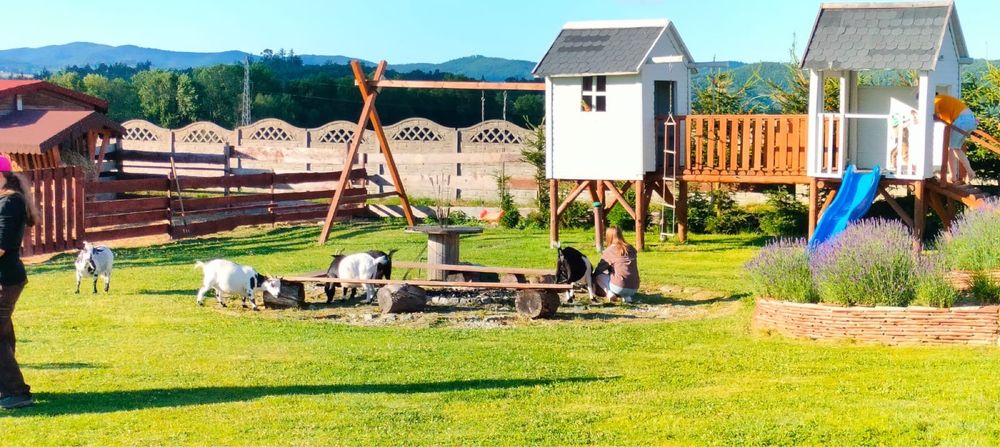 Apartament, agroturystyka , Kotlina Kłodzka , Góry Stołowe , noclegi