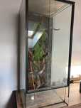 Terrarium dla gada.