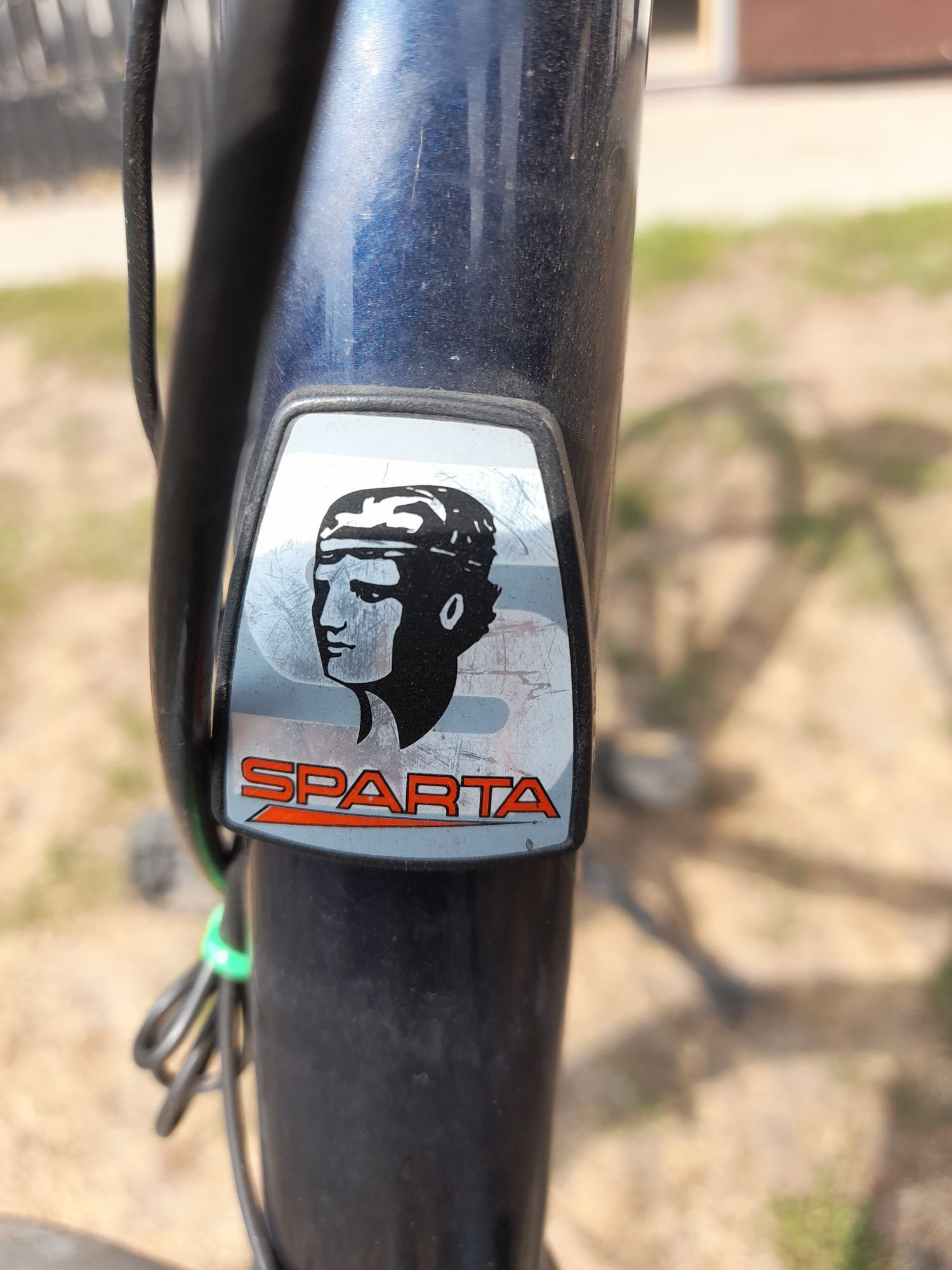 Rower męski SPARTA