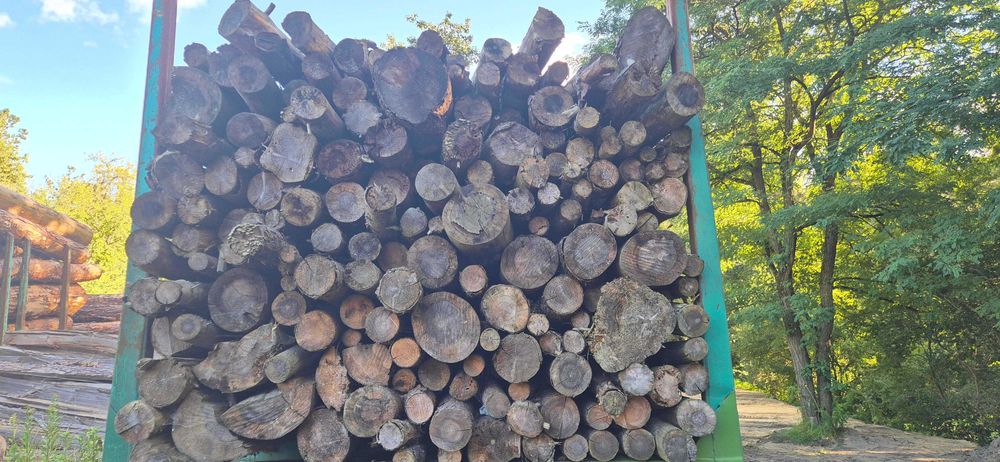 Drewno opałowe - wałki, szczapy dł. 1,2m.