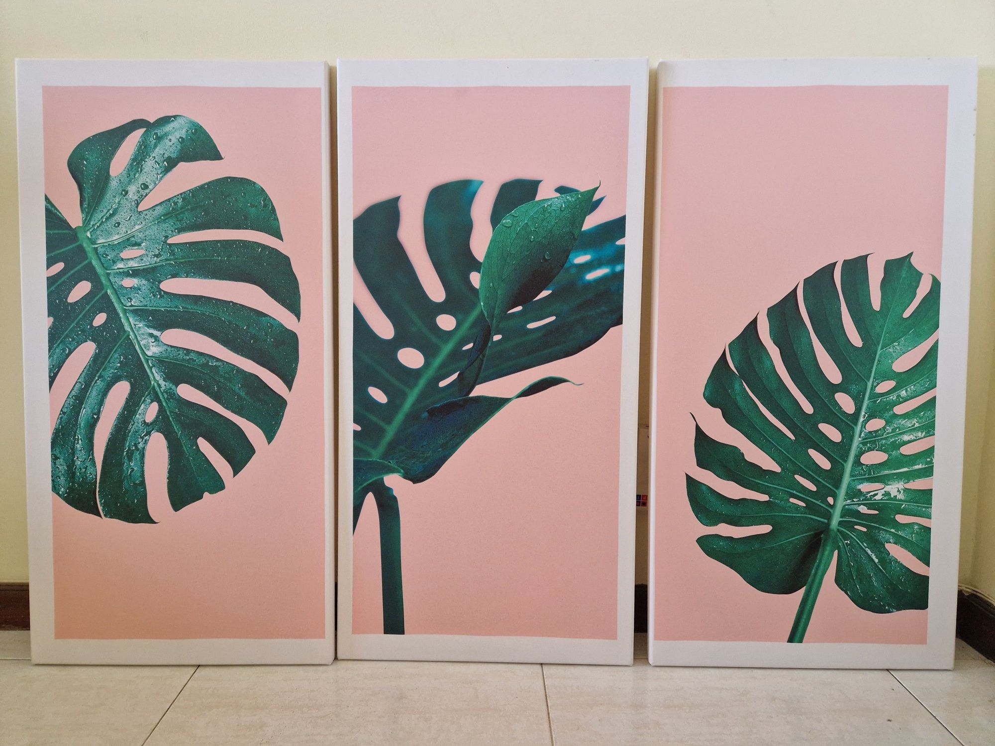 3 Quadros Plantas 40x80