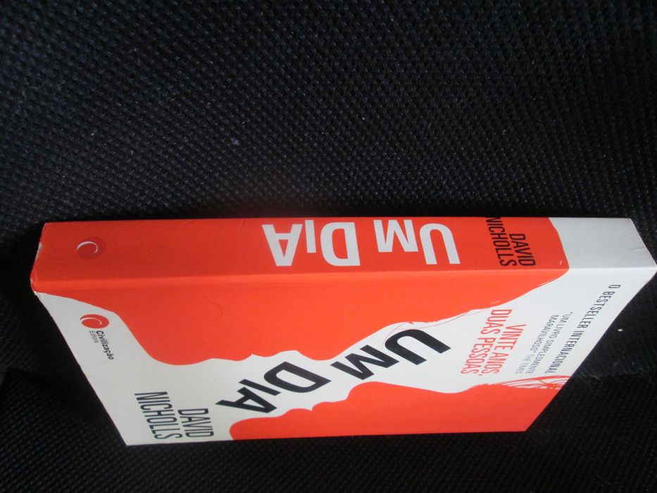 Um Dia Duas pessoas. Vinte anos. Um dia. (exito da Netflix)