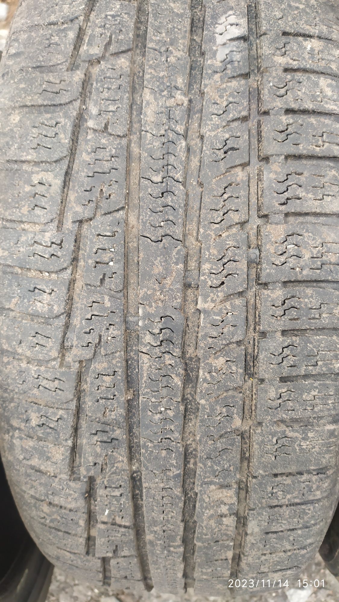 205/55 r16 зимние шины