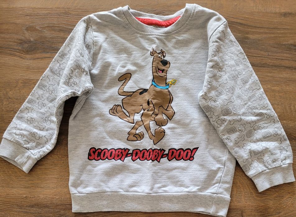Bluza ze Scooby-Doo 110