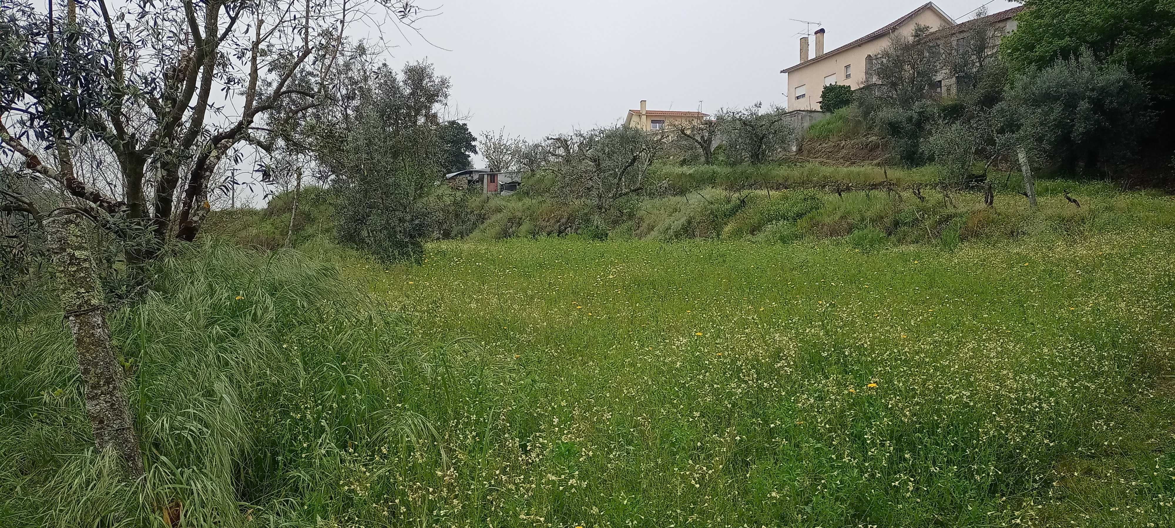 Terreno à venda na Aldeia de Casal Diz, Pindo