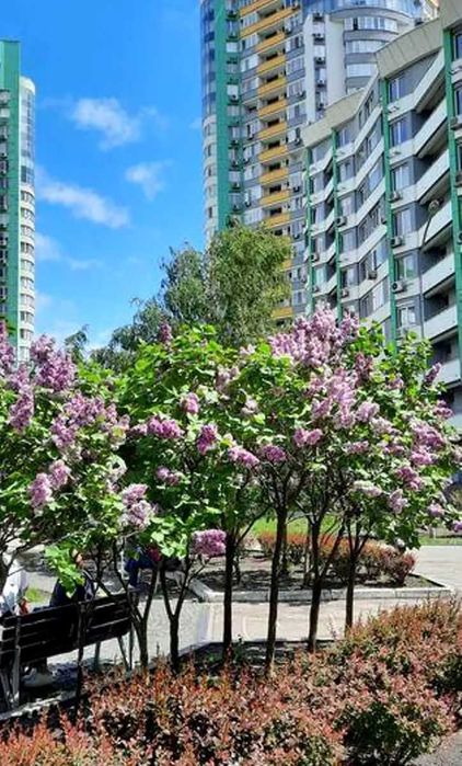 Оренда 2к квартири ЖК Паркове місто, Екофлоу, власник, без %