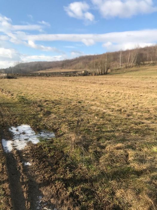 Продам землю в Карпатах