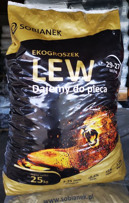 Groszek LEW Sobianek 29 MJ - najlepszy w regionie