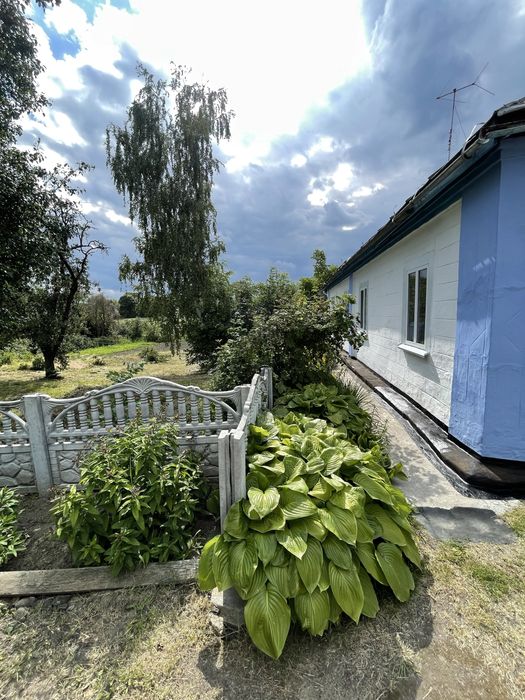 Продаж будинку в селі Лука(Білоцерківський район).