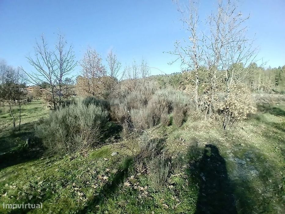 Terreno  para venda