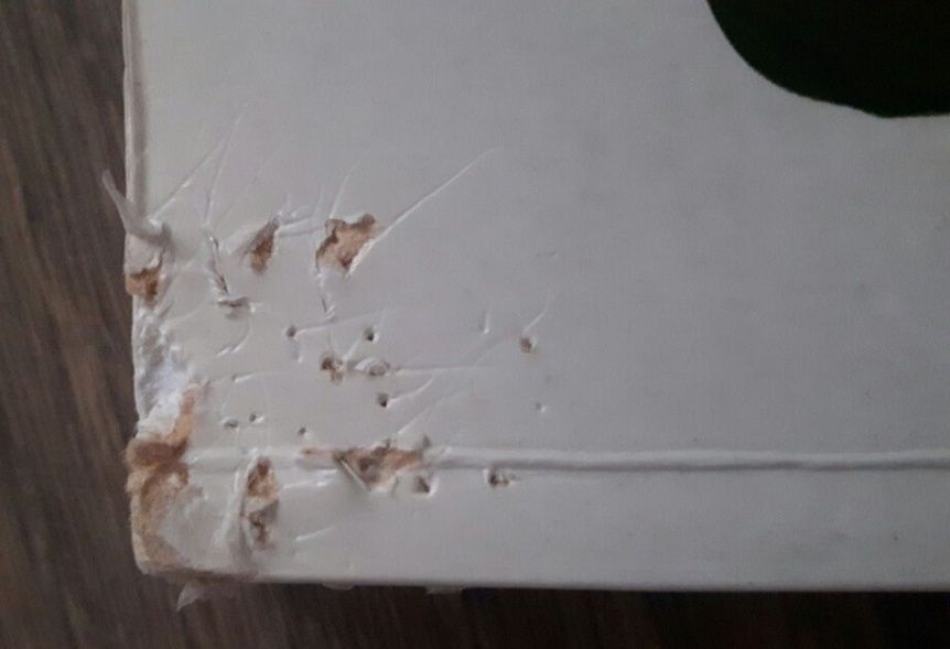 Sheila Kitzinger Rok po urodzeniu dziecka