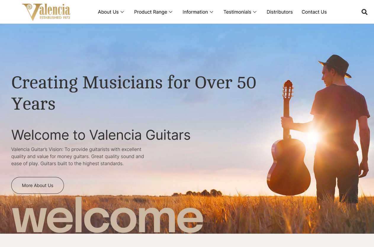 guitarra VALENCIA com trussrod