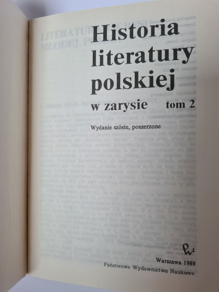 Historia literatury polskiej w zarysie - Tom drugi