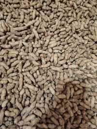 Арахіс нечищений в скорлупі сирий врожай 2023 земляний горіх арахис