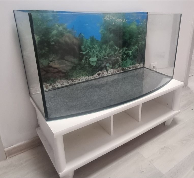 Akwarium 120L z szafką i ozdobami