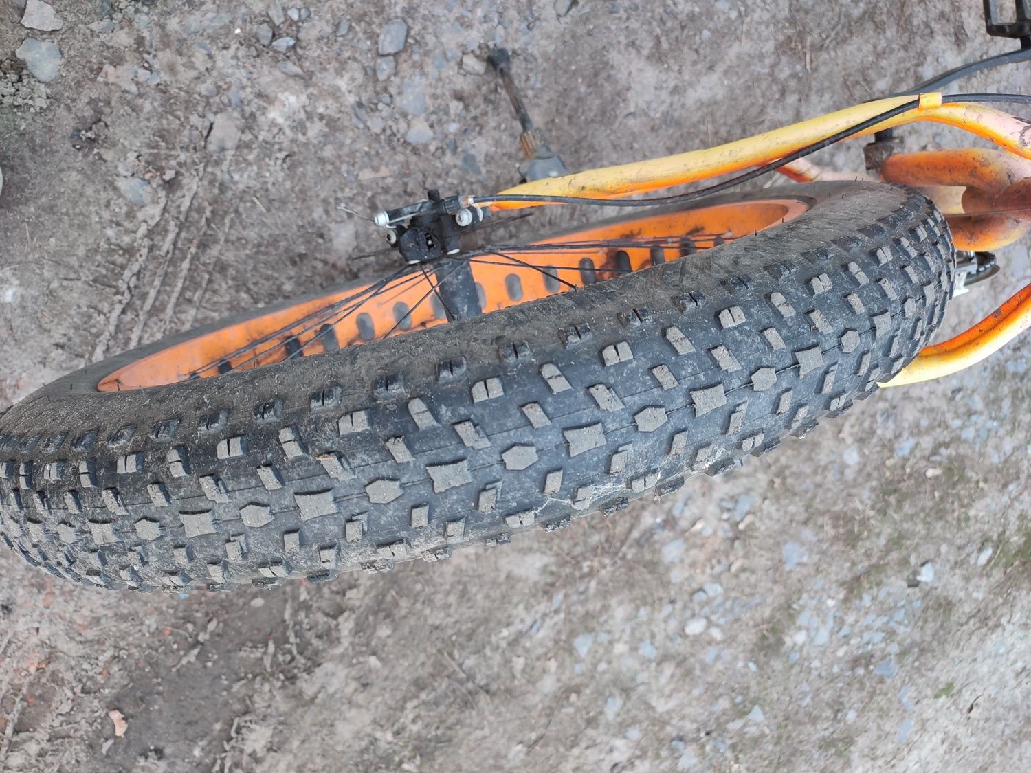 Fatbike Jaguar 26