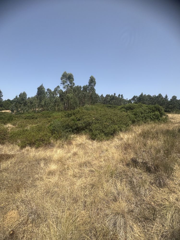 Terreno com 10000 imperdiv