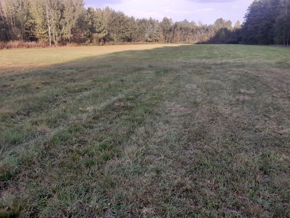 Wydzierżawię działkę 40000 m2