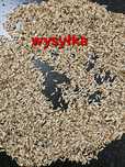 Chaber bławatek 1kg