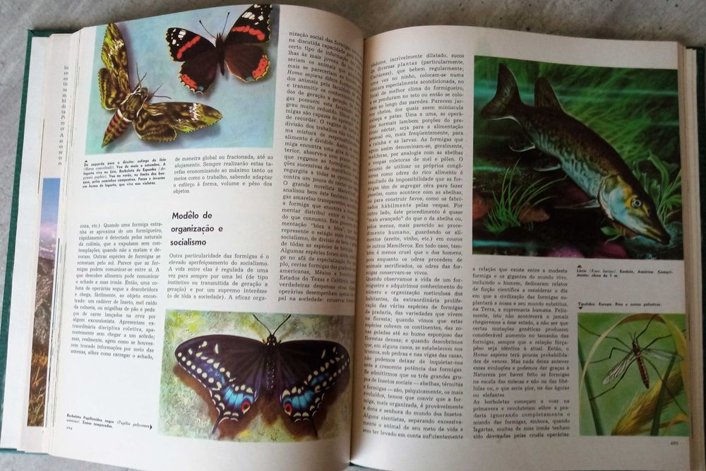 Mundo Animal. 5 volumes. 1965