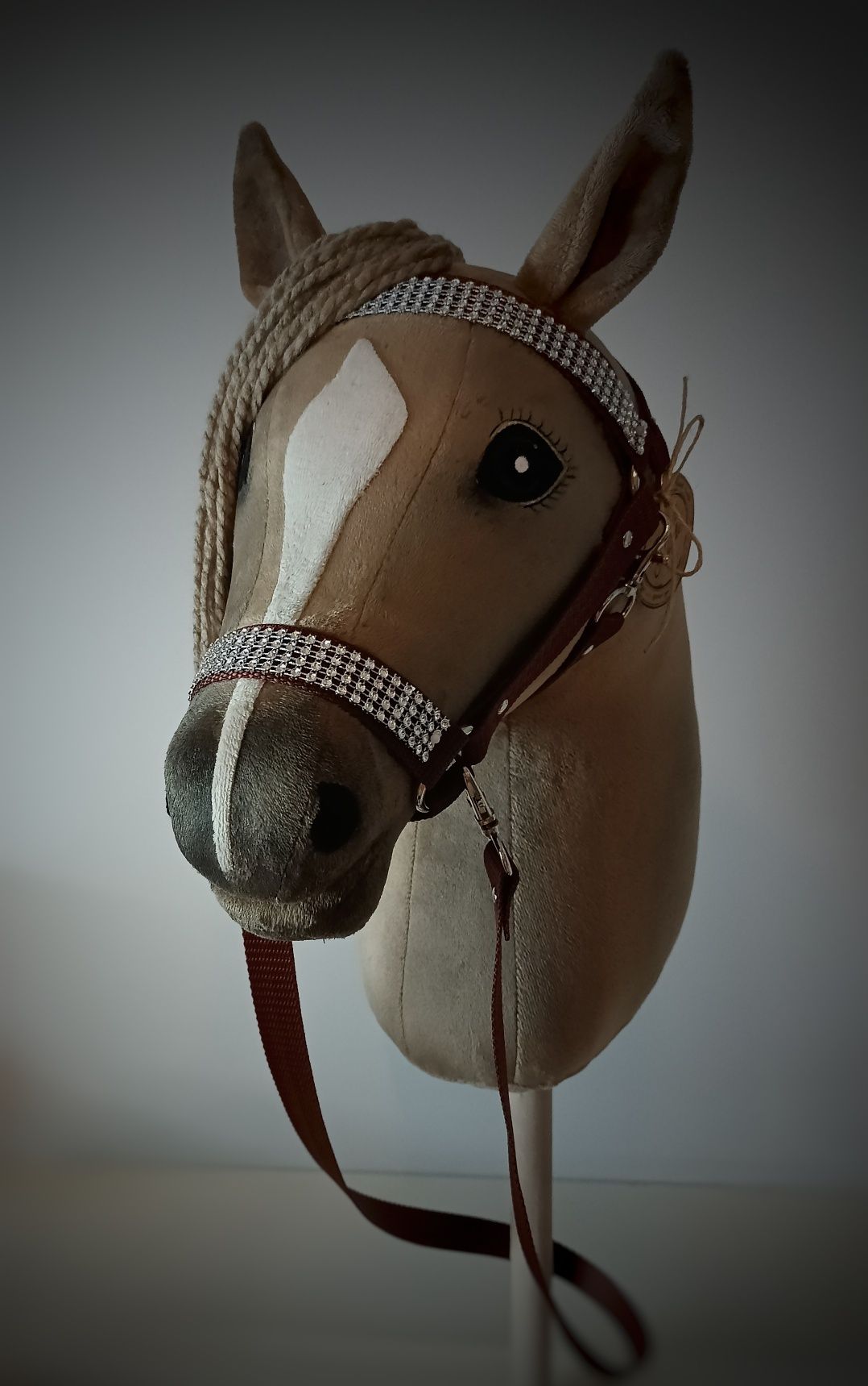 Hobby Horse, koń na kiju
