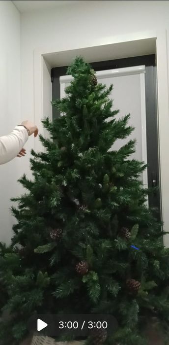 Arvore  de natal com pinhas