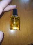 Raw perfection dream oil 10 ml