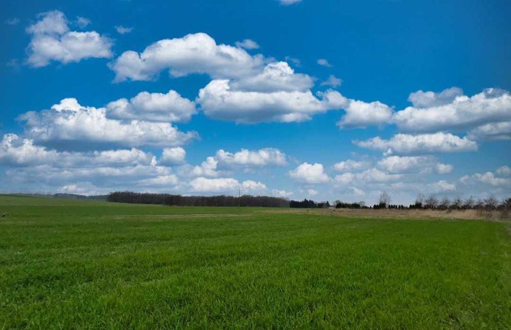 Działka budowlana 1489m2, Zaleszczyce kolo Gryfic