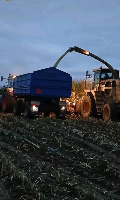 Sieczkarnia New Holland FX 450