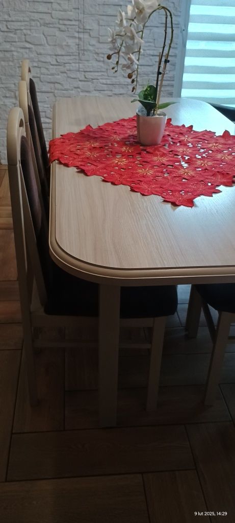Sprzedam stół + 10 krzeseł