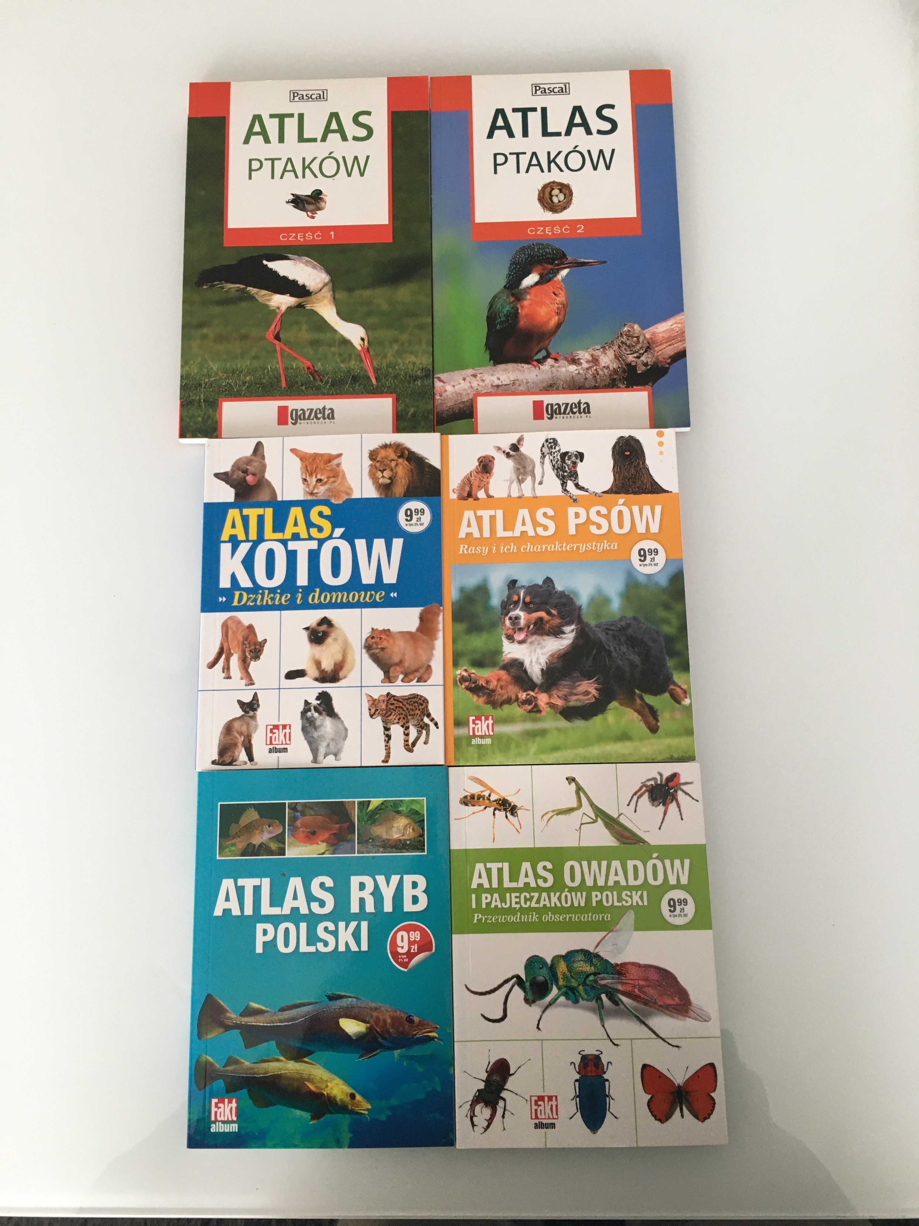 Książka Atlas zwierząt