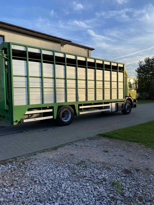 Scania p 260 do przewozu zwierząt bydła żywca waga zabudowa