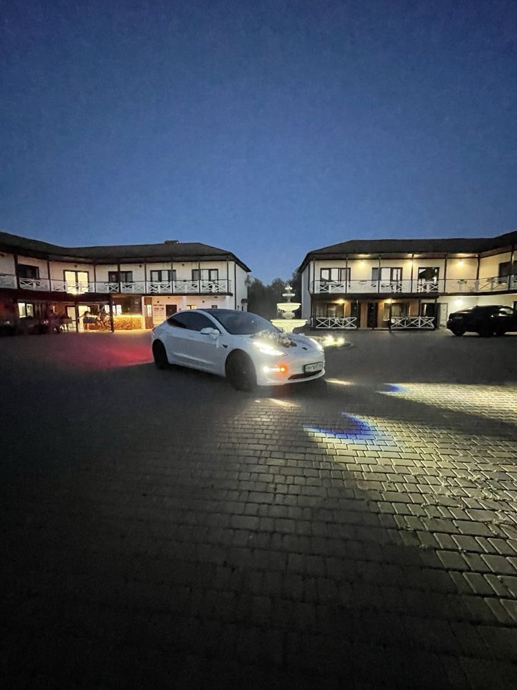 Аренда Tesla Model 3 2019г.