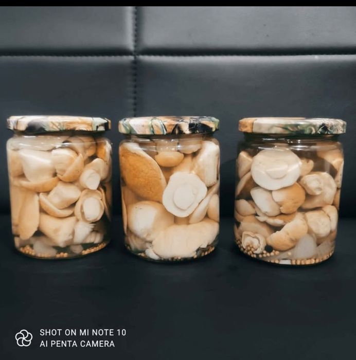 Borowiki marynowane 520ml