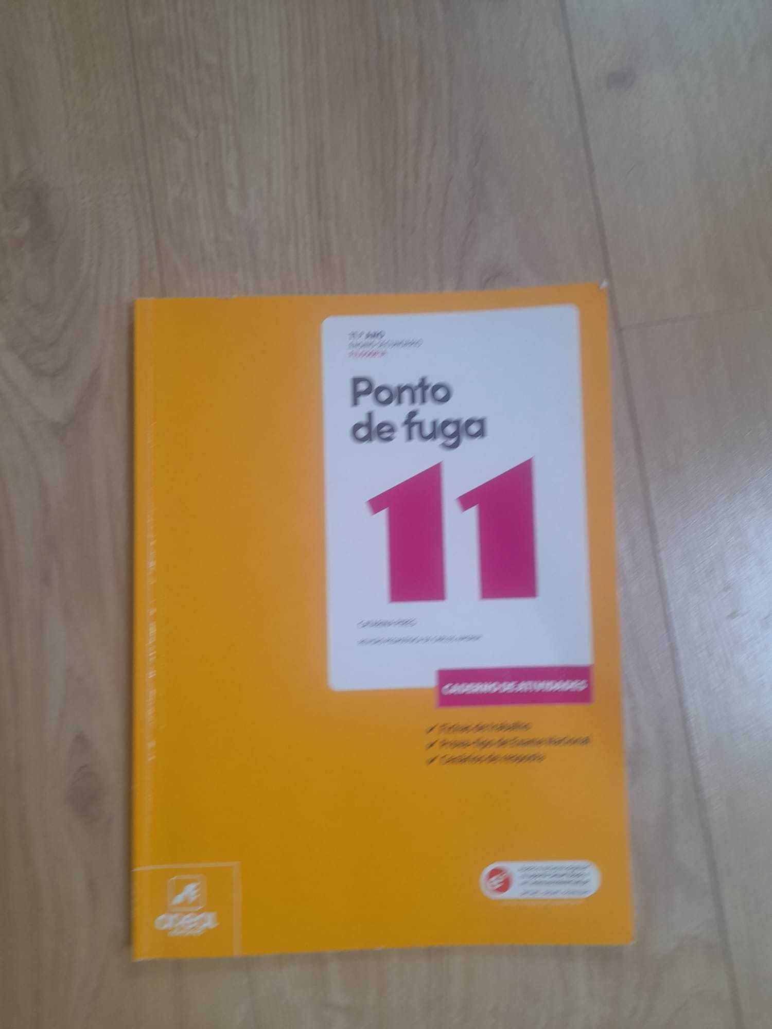 livro de actividades de filosofia 11º ano